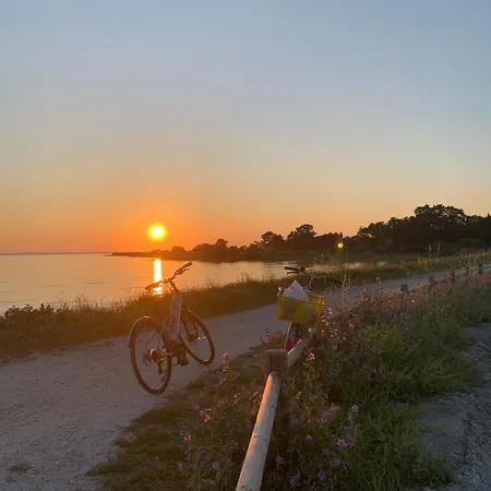 Cosy A 300 M De La 1 A 4 Pers Apartamento