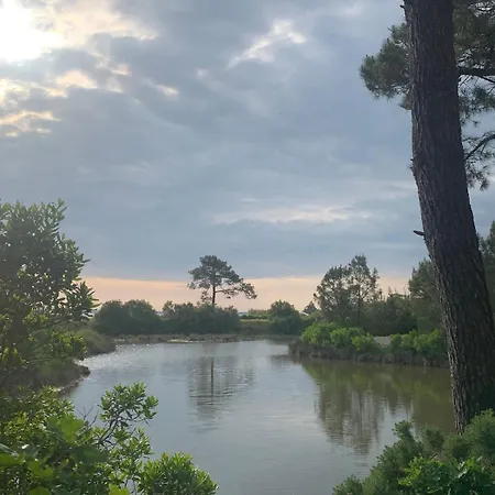 Apartamento Cosy A 300 M De La 1 A 4 Pers Lanton