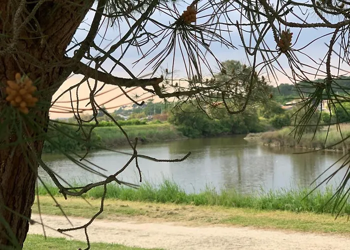 Апартаменты Cosy A 300 M De La 1 A 4 Pers Лантон