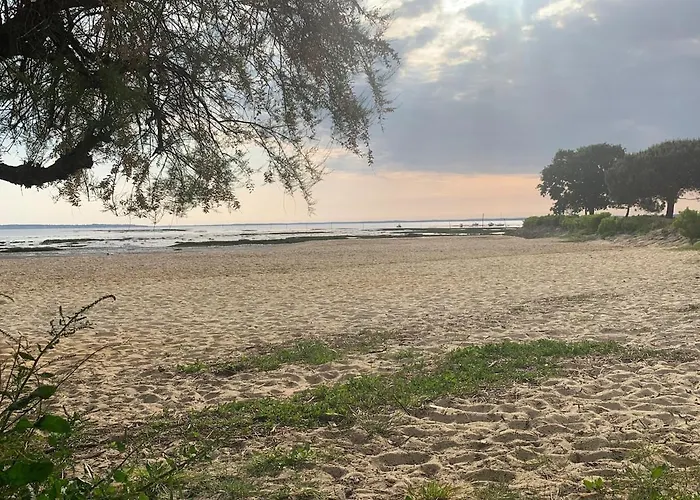 Апартаменты Cosy A 300 M De La 1 A 4 Pers Лантон