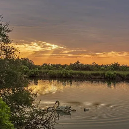 Cosy à 300 M De La 1 à 4 Pers Appartamento Lanton