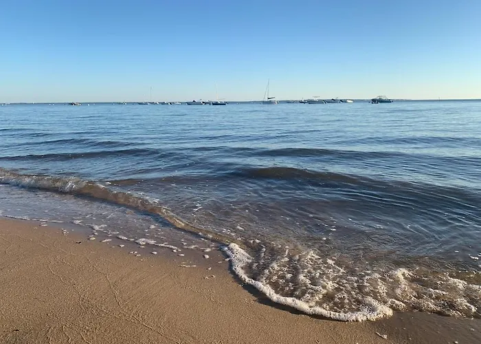 Διαμέρισμα Cosy A 300 M De La 1 A 4 Pers *