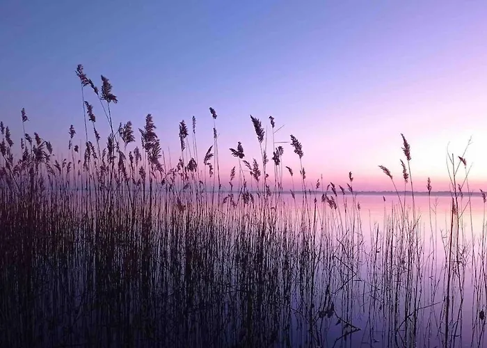 Cosy A 300 M De La 1 A 4 Pers Daire *