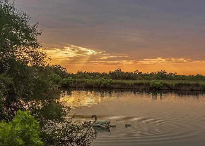 Cosy A 300 M De La 1 A 4 Pers Daire Lanton