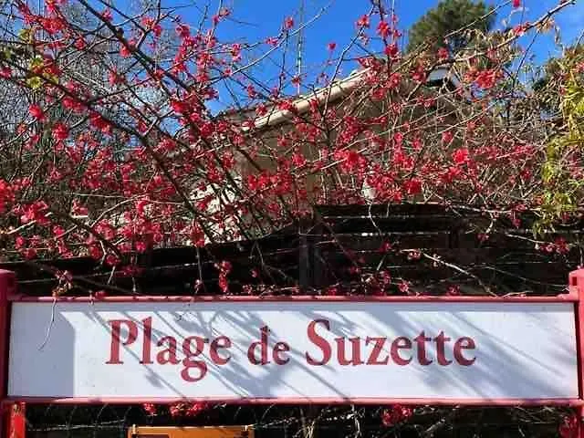 Cosy A 300 M De La 1 A 4 Pers Lejlighed *