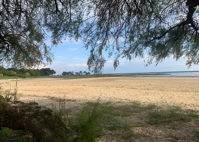 Cosy A 300 M De La 1 A 4 Pers *