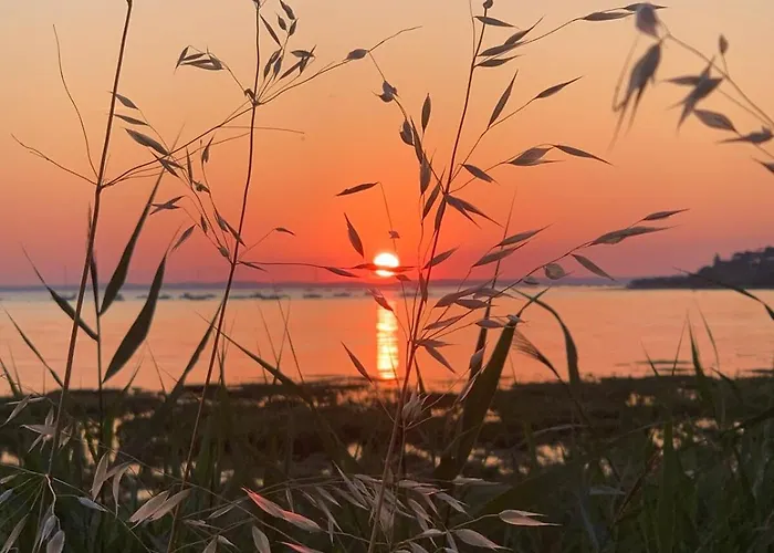 Cosy A 300 M De La 1 A 4 Pers Lanton