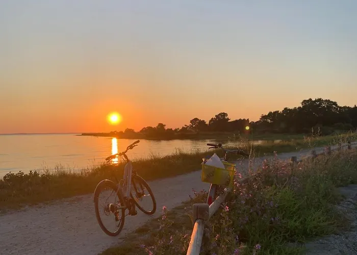 Cosy A 300 M De La 1 A 4 Pers Διαμέρισμα