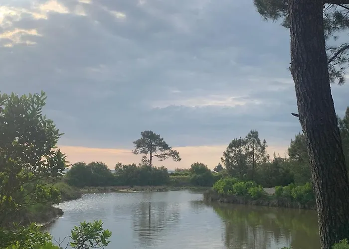 Apartmán Cosy A 300 M De La 1 A 4 Pers Lanton